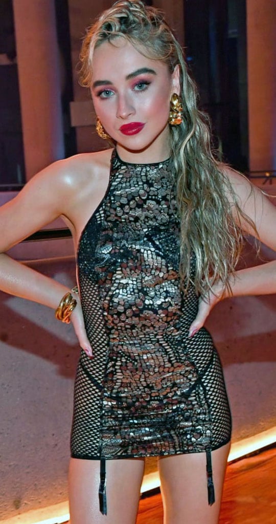 Sabrina Carpenter dress see through sheer photos 44